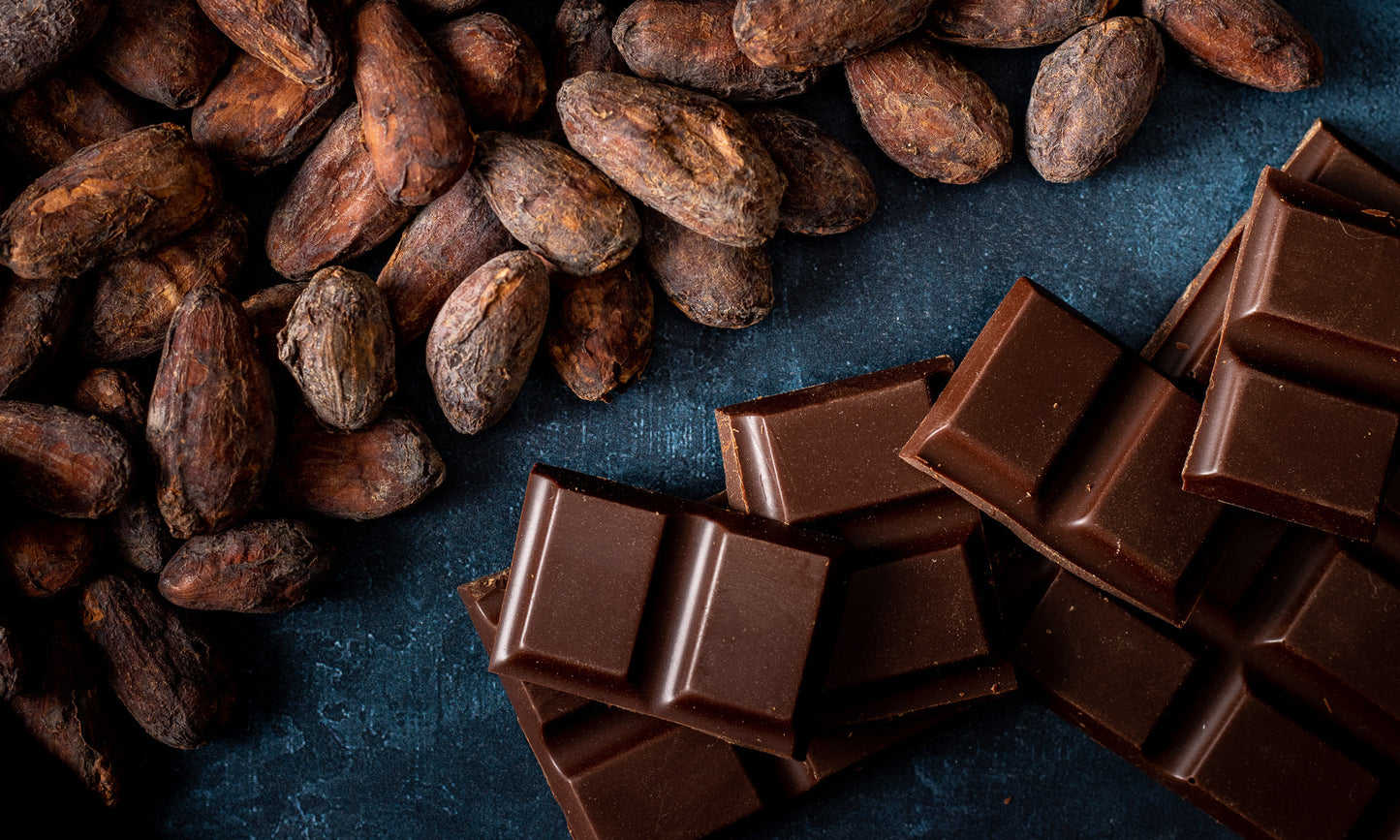 Embrace Chocolate - Cacao beans and chocolate squares