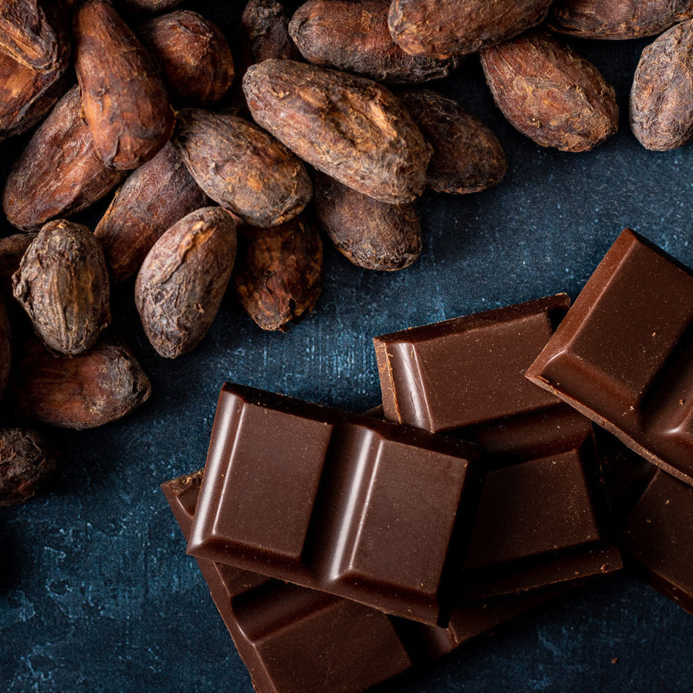 Embrace Chocolate - Cacao beans and chocolate squares