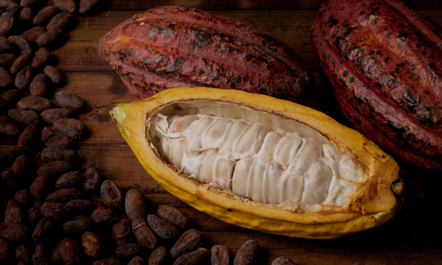 Embrace Chocolate - open cacao pods and cacao beans