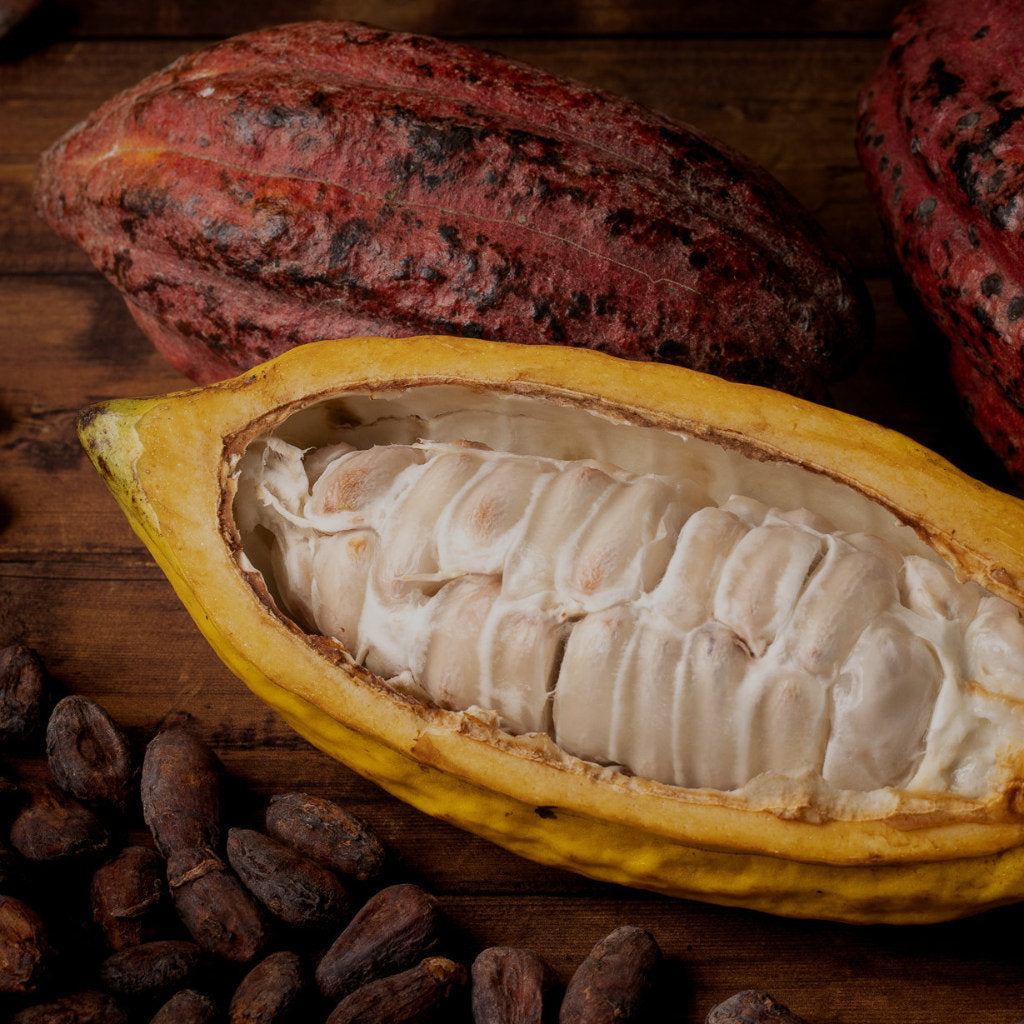 Embrace Chocolate - open cacao pods and cacao beans
