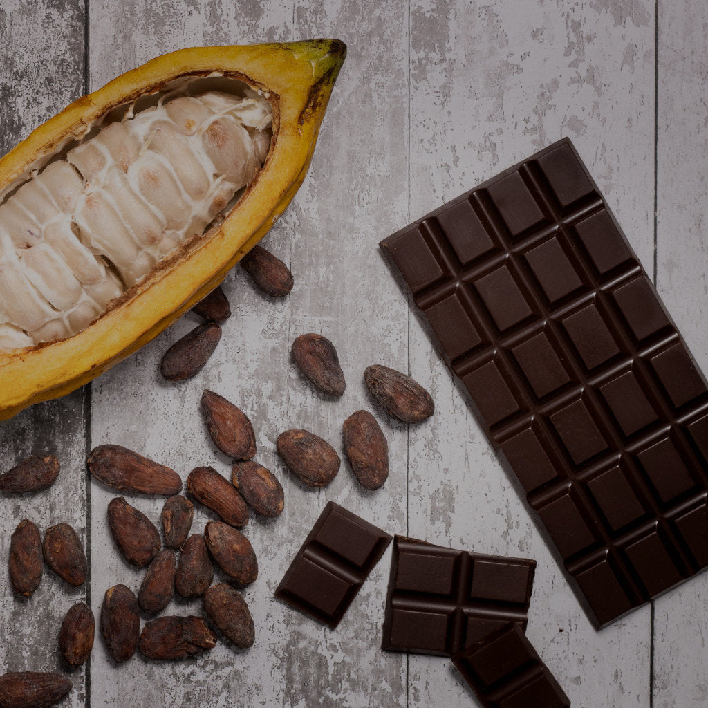 Embrace Chocolate - open cacao pod with cacao beans and chocolate bar